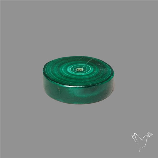 Rare Malachite Stalactite Slice