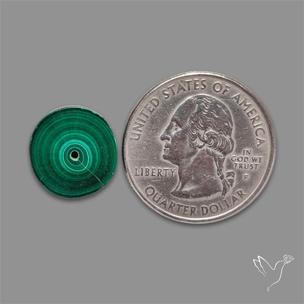 Rare Malachite Stalactite Slice