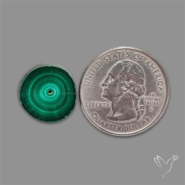 Rare Malachite Stalactite Slice