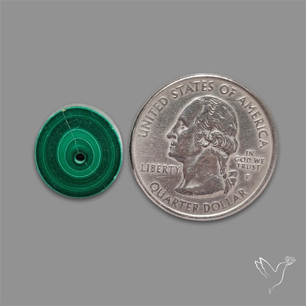 Rare Malachite Stalactite Slice