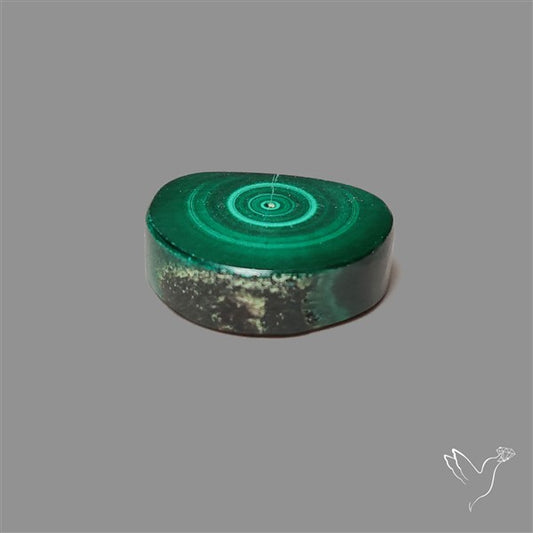 Rare Malachite Stalactite Slice