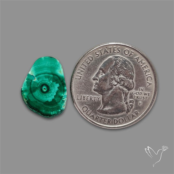 Rare Malachite Stalactite Slice