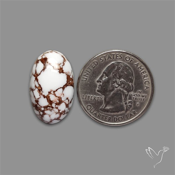 Wild Horse Jasper Cabochon