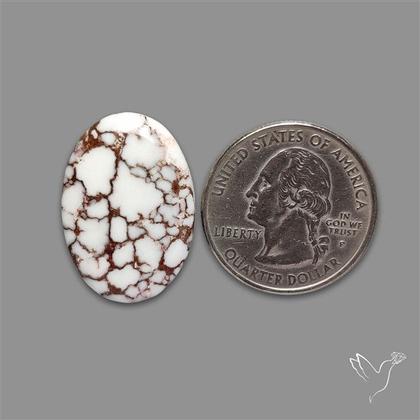 Wild Horse Jasper Cabochon