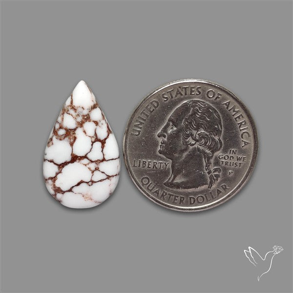 Wild Horse Jasper Cabochon