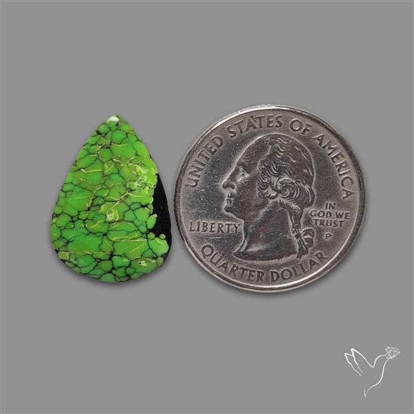 Rare Green Hubei Turquoise Cabochon natural