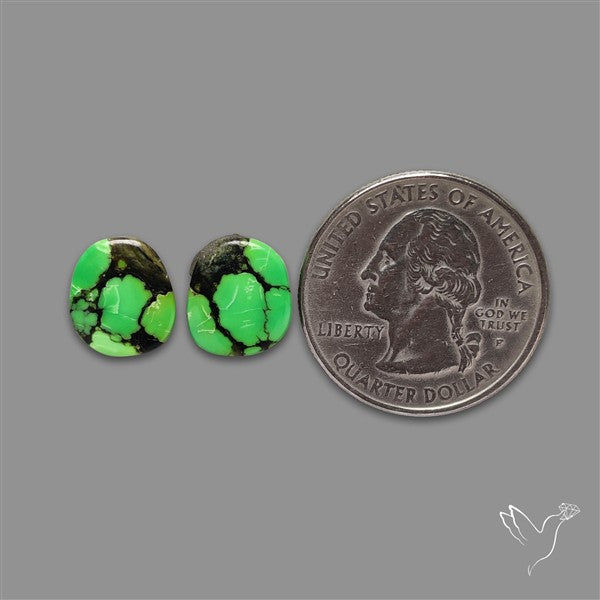 Rare Green Hubei Turquoise Pair