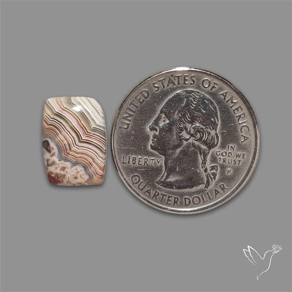 Crazylace Agate Cabochon