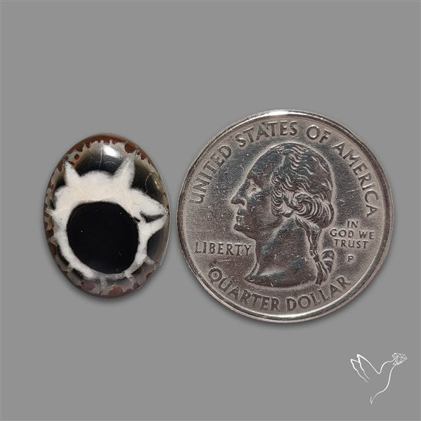Black Septarian Cabochon