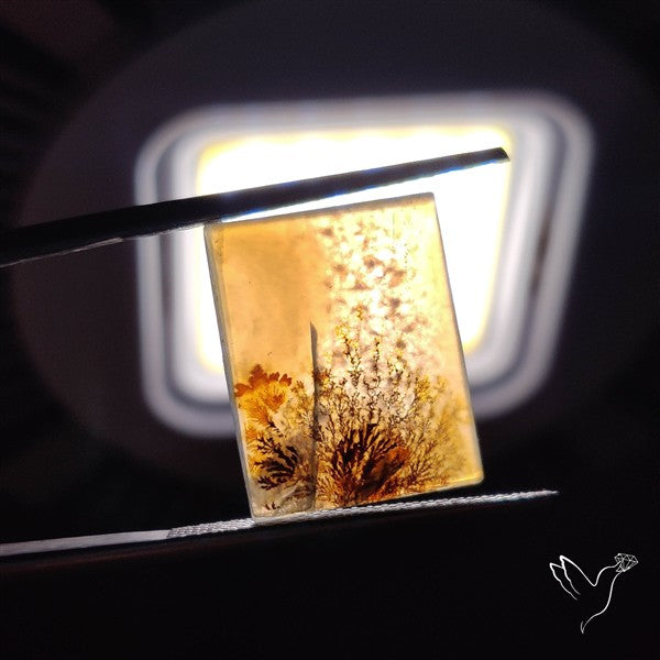 Scenic Agate Cabochon