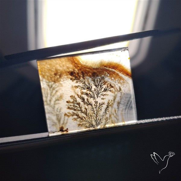 Scenic Agate Cabochon