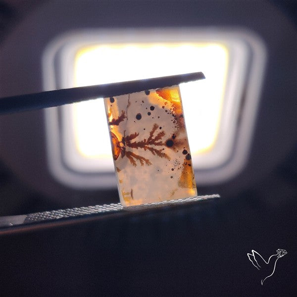 Scenic Agate Cabochon