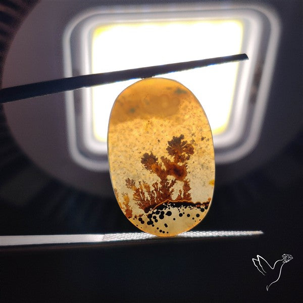 Scenic Agate Cabochon