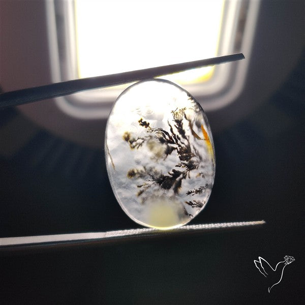 Scenic Agate Cabochon