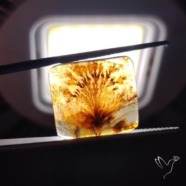 Scenic Agate Cabochon