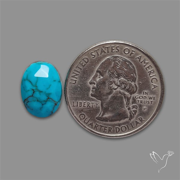 Rose Cut Kingman Turquoise