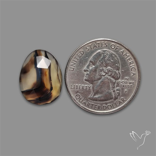 Rose Cut Montana Agate