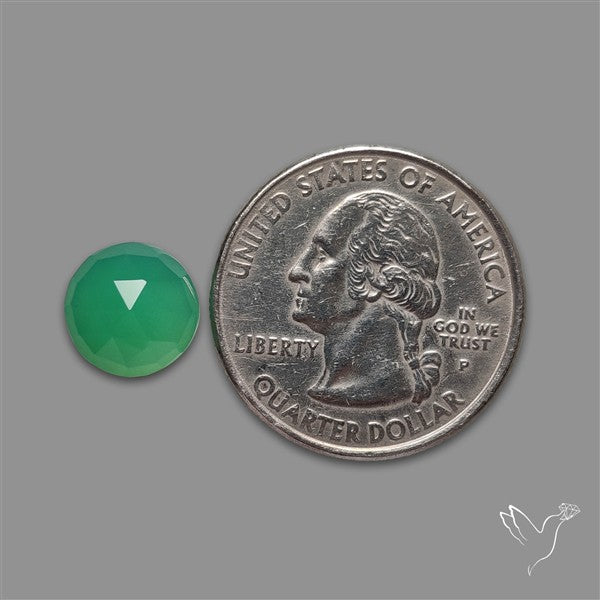 Rose Cut Gemmy Chrysoprase
