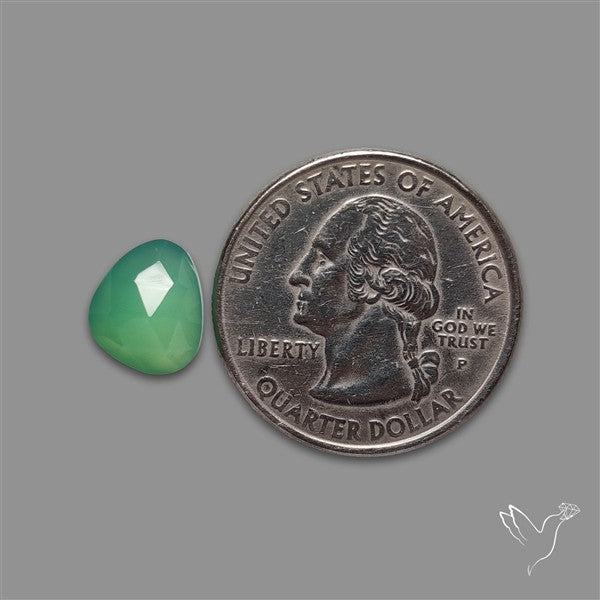 Rose Cut Gemmy Chrysoprase