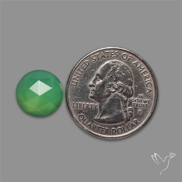 Rose Cut Gemmy Chrysoprase