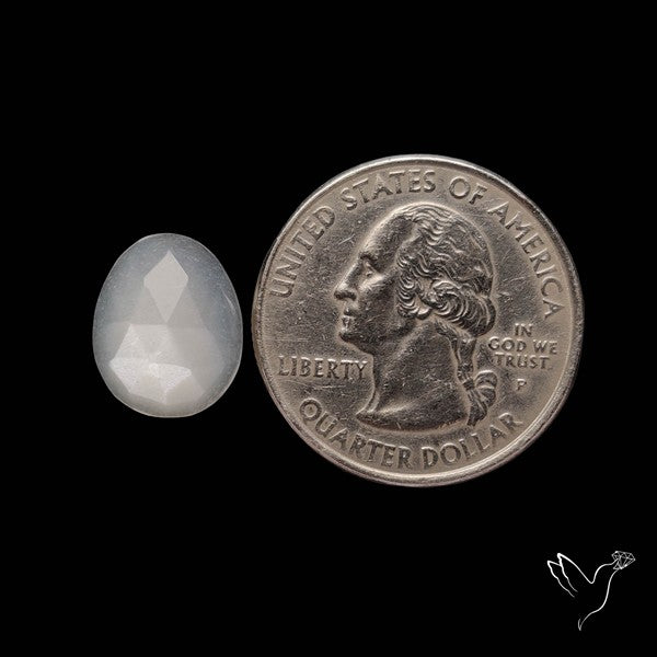 Rose Cut White Moonstone
