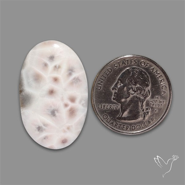 Thomsonite Cabochon