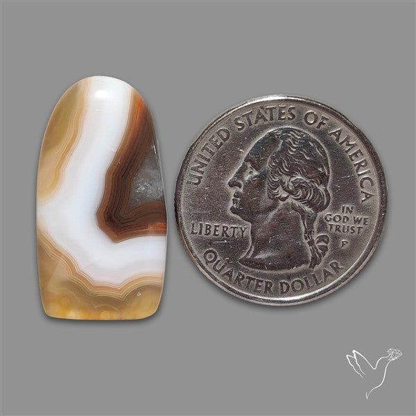 Botswana Agate Cabochon
