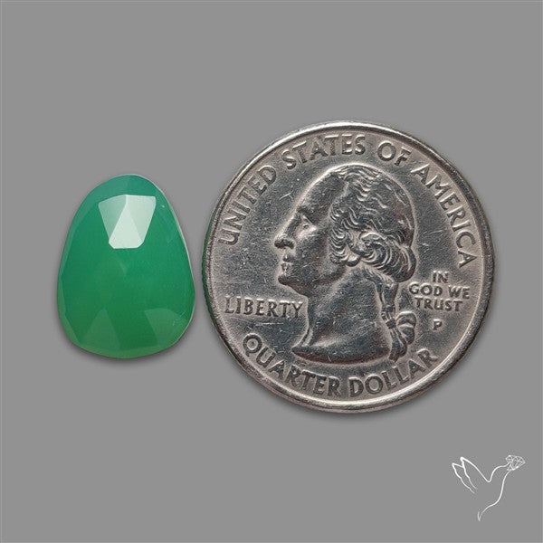 Rose Cut Gemmy Chrysoprase