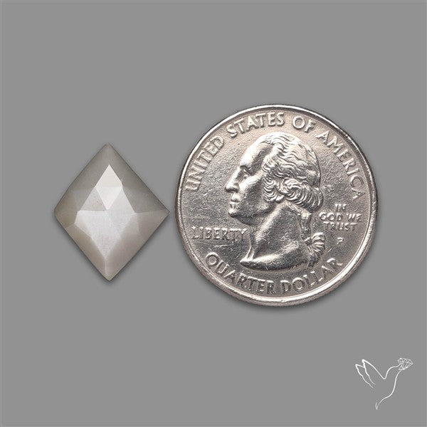 Rose Cut Gray Moonstone