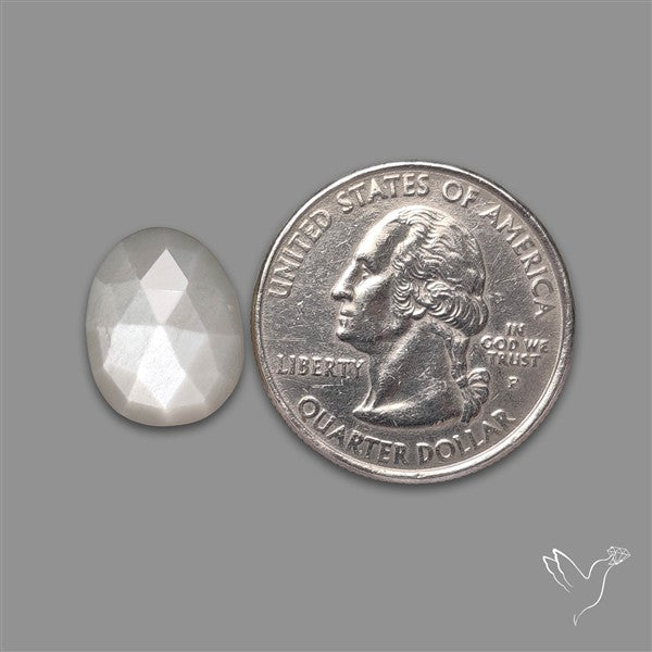 Rose Cut Gray Moonstone