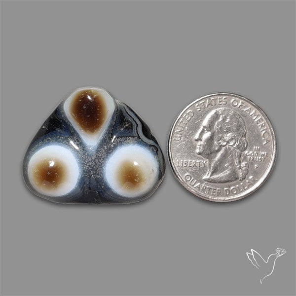 Naturally Occuring Eyes Black Banded Agate