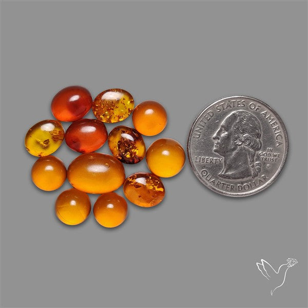 Baltic Amber Cabochons Lot
