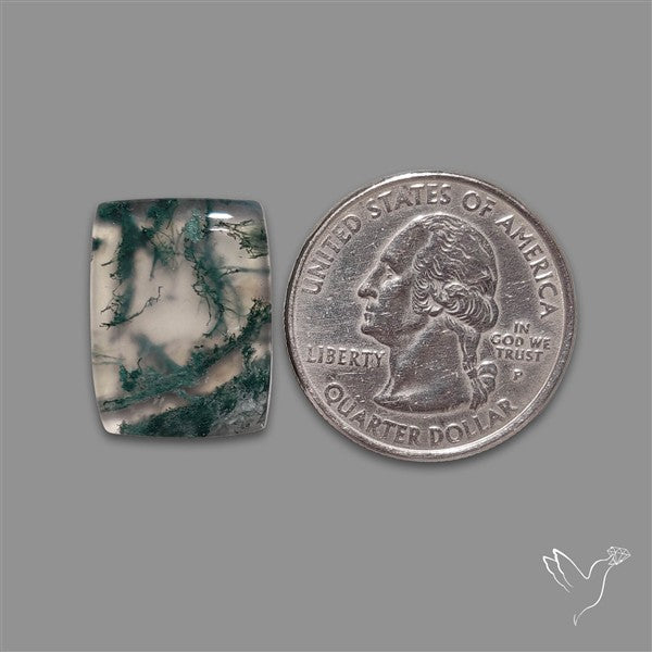 Moss Agate Cabochon