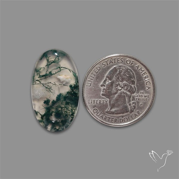 Moss Agate Cabochon