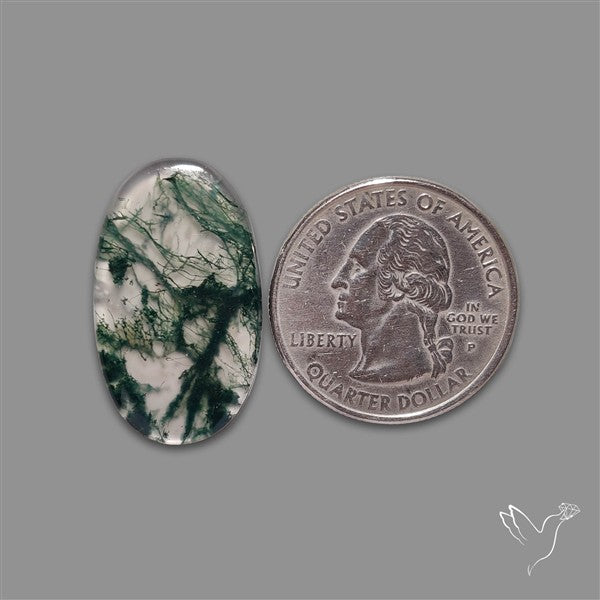 Moss Agate Cabochon