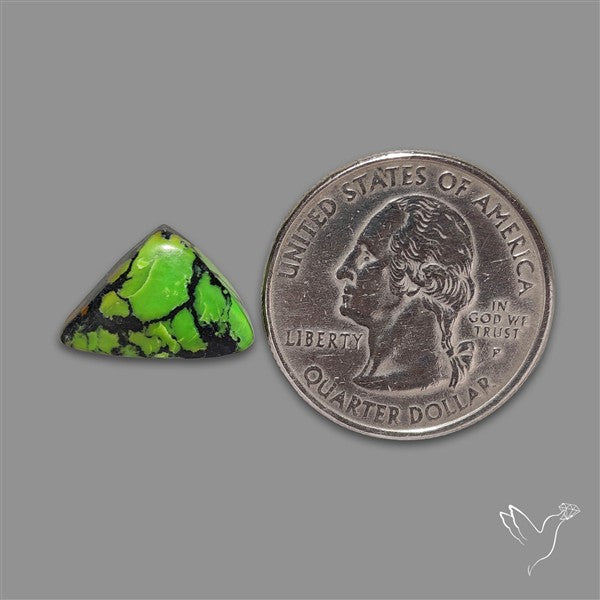 Rare Natural Green Hubei Turquoise Cabochon