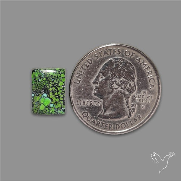 Rare Natural Green Hubei Turquoise Cabochon