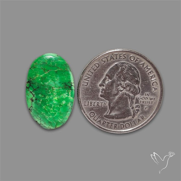 Rare Natural Green Hubei Turquoise Cabochon