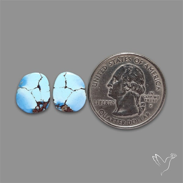 Rare Golden Hill Turquoise Pair
