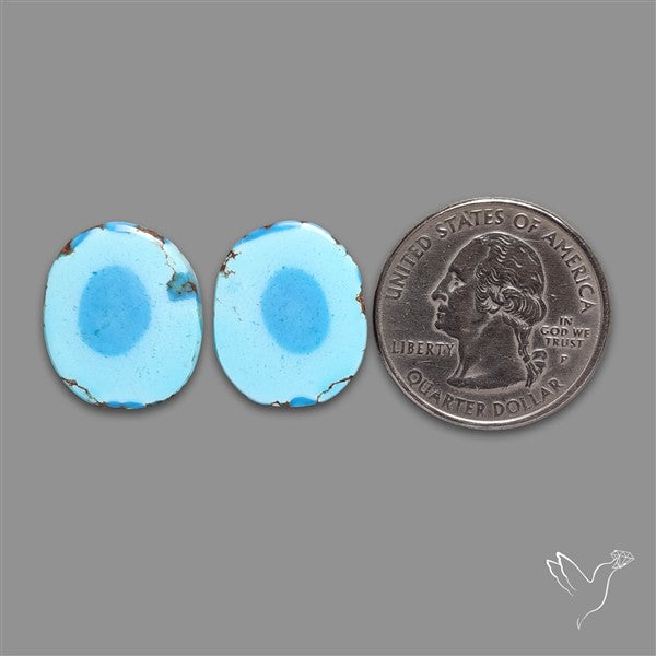 Rare Large Golden Hill Turquoise Pair
