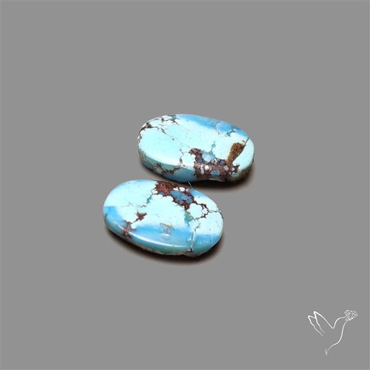 Rare Golden Hill Turquoise Pair