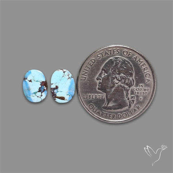 Rare Golden Hill Turquoise Pair