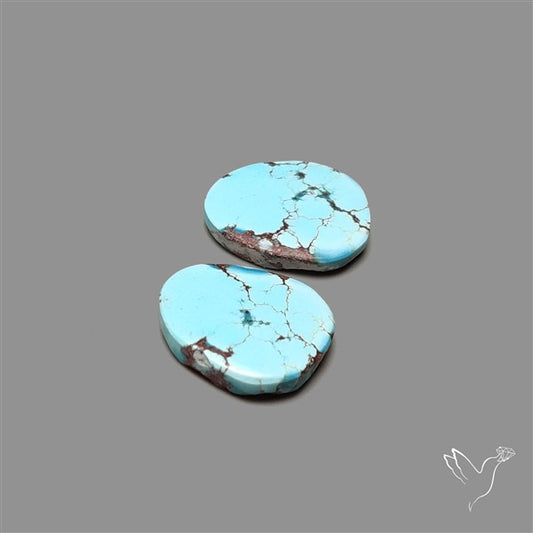 Rare Golden Hill Turquoise Pair