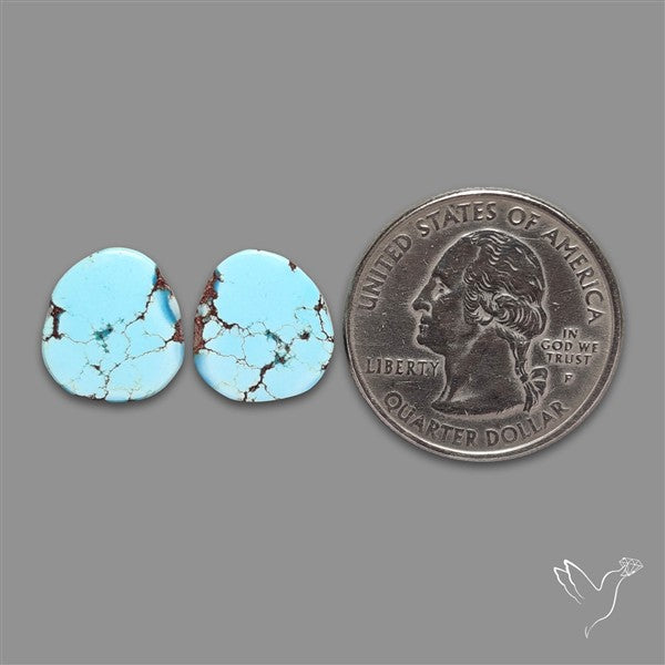 Rare Golden Hill Turquoise Pair