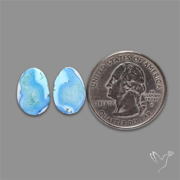 Rare Golden Hill Turquoise Pair