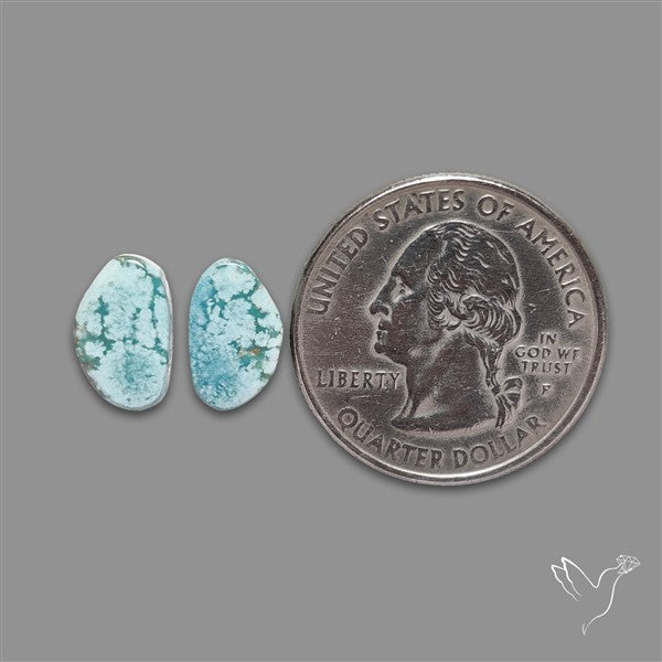 Rare Golden Hill Turquoise Pair