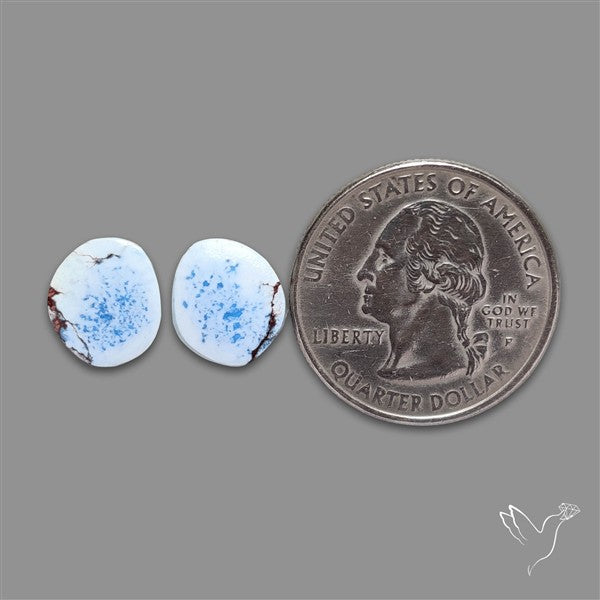 Rare Golden Hill Turquoise Pair