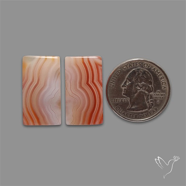 Lake Superior Agate Pair