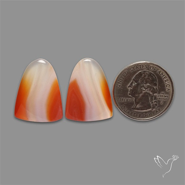 Lake Superior Agate Pair