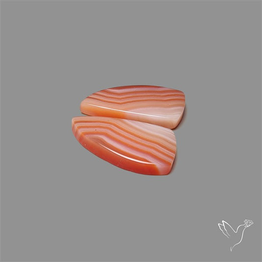 Lake Superior Agate Pair